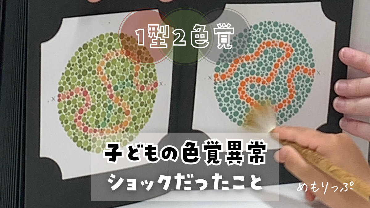色盲 見え 方